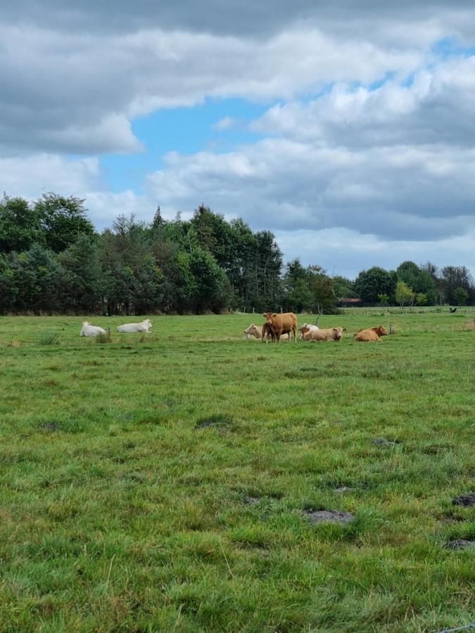 Haus Moor Merland Moormerland Zewnętrze zdjęcie